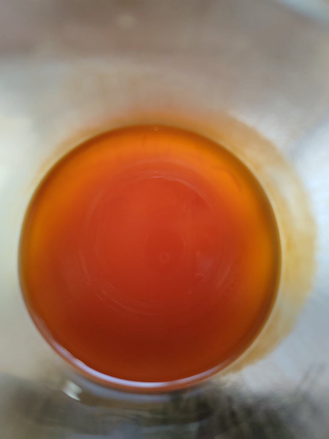 The Truth About Raw Wild Honey: Why Real Forest Honey Is Nothing Like the Supermarket Shelf