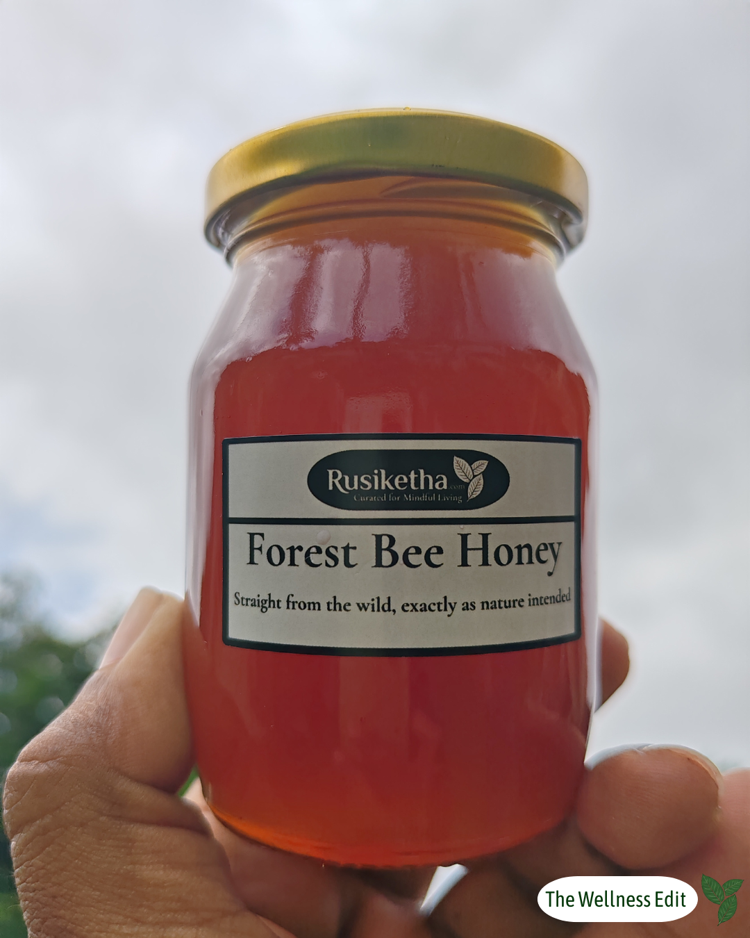 Pure Wild Forest Bee Honey – Raw, Unrefined & Living 175ml