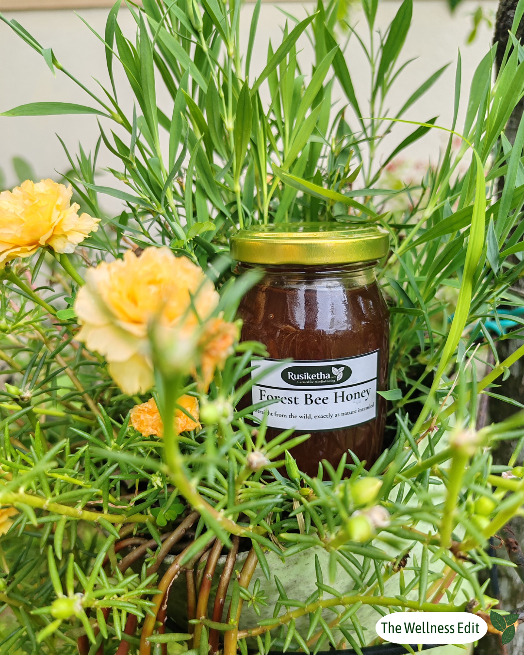 Pure Wild Forest Bee Honey – Raw, Unrefined & Living 175ml